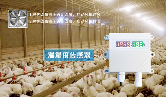 禽畜养殖智能监控系统温湿度监测